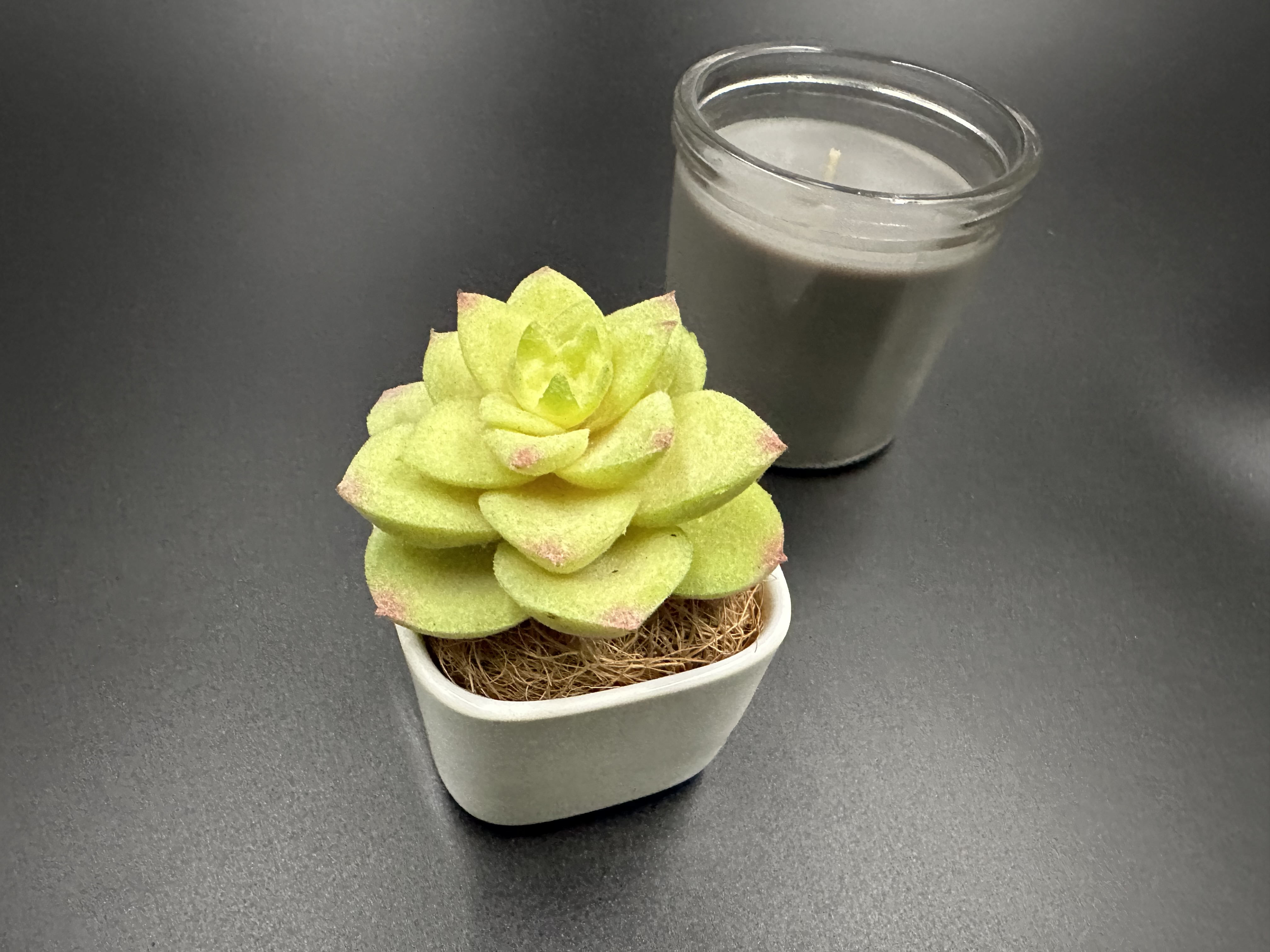 擬真植物擺設/拍攝道具